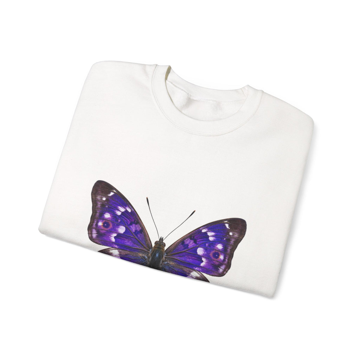 Purple Butterfly Crewneck Sweatshirt — Vibrant Nature Graphic Pullover