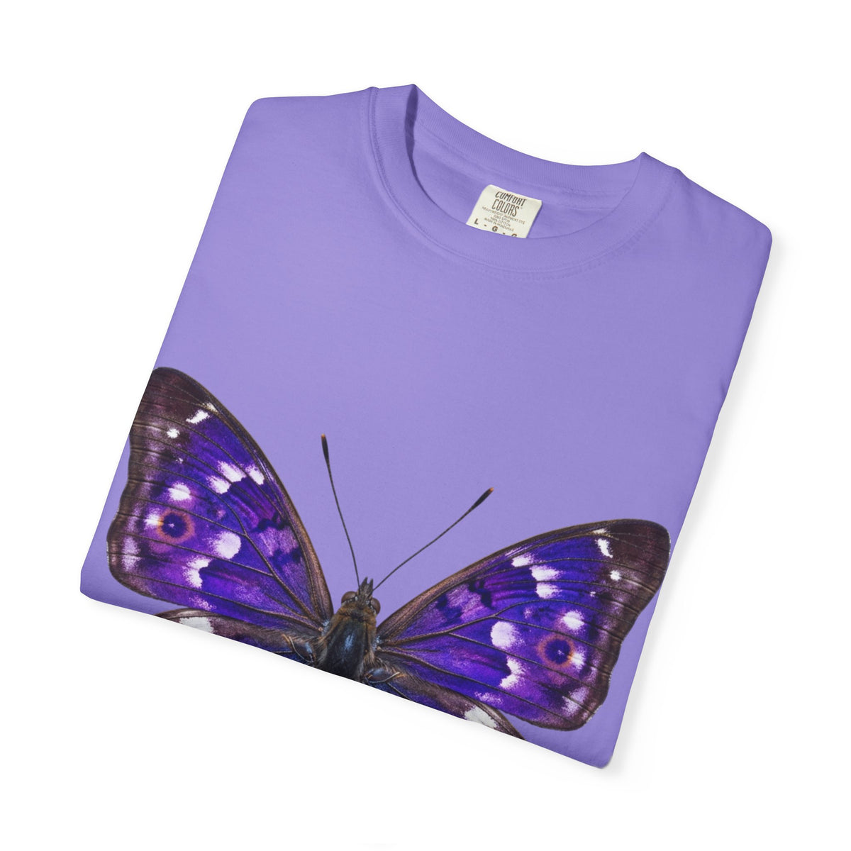 Purple Butterfly T-Shirt — Vibrant Vintage Moth Graphic Tee