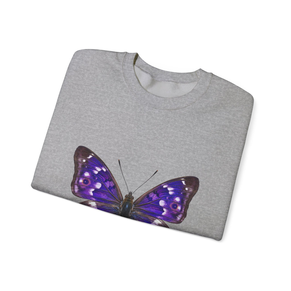 Purple Butterfly Crewneck Sweatshirt — Vibrant Nature Graphic Pullover