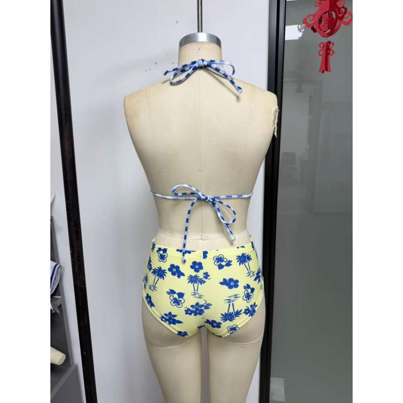 Bikini Set with Neck Tie, Triangular Cups, High Waist Two-Piece Swimwear for Beach Vacation