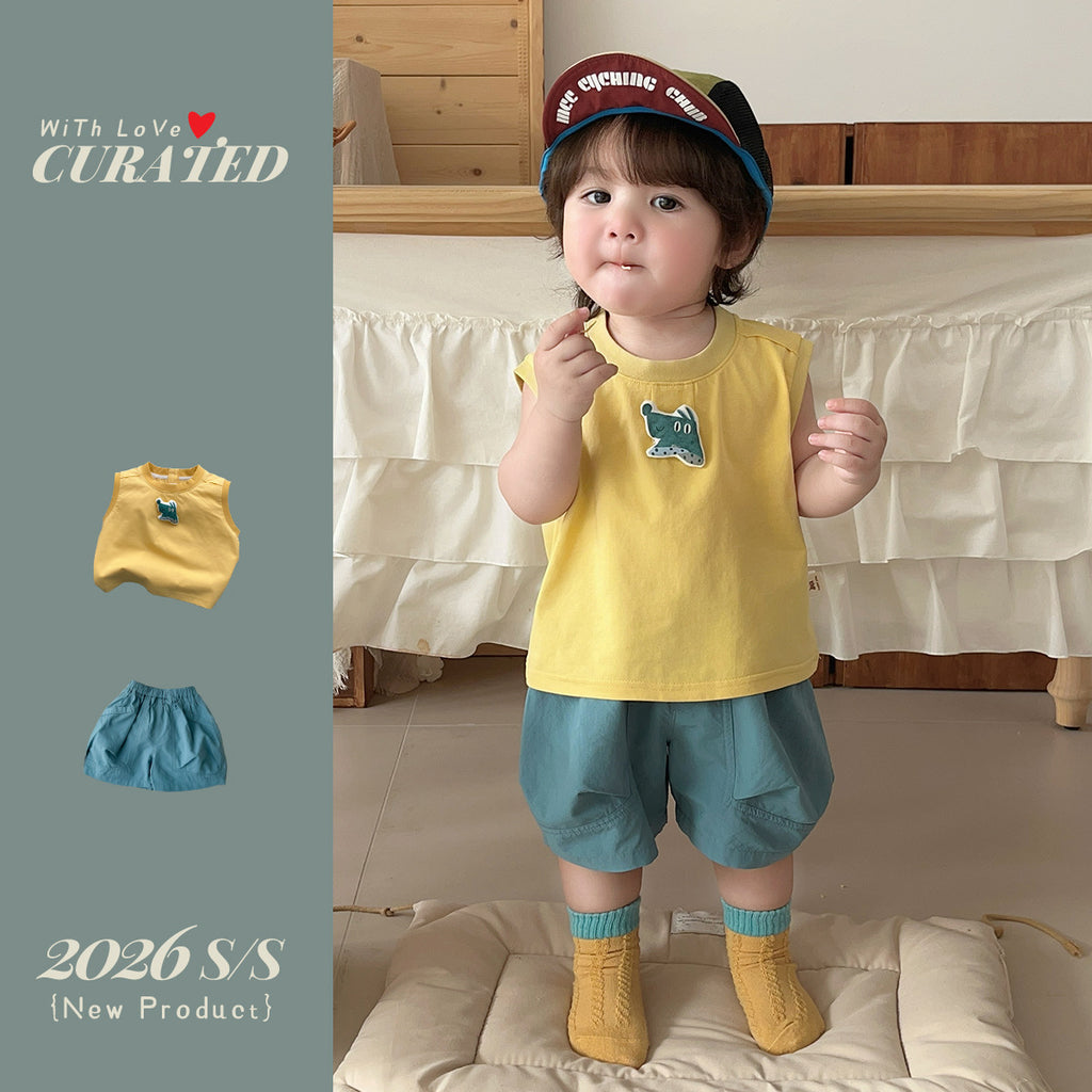 Boy's Summer Outfit Set Quick-Dry Shorts Two-Piece Set, Stylish Color-Blocked Summer Clothes for Toddlers